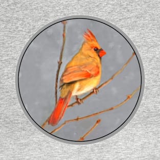 Cardinal on Branch T-Shirt